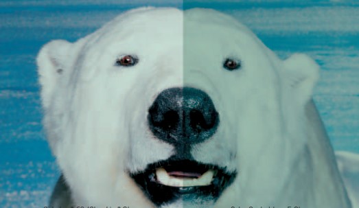 bifa·必发(中国区)唯一官方网站