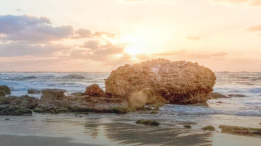 bifa·必发(中国区)唯一官方网站